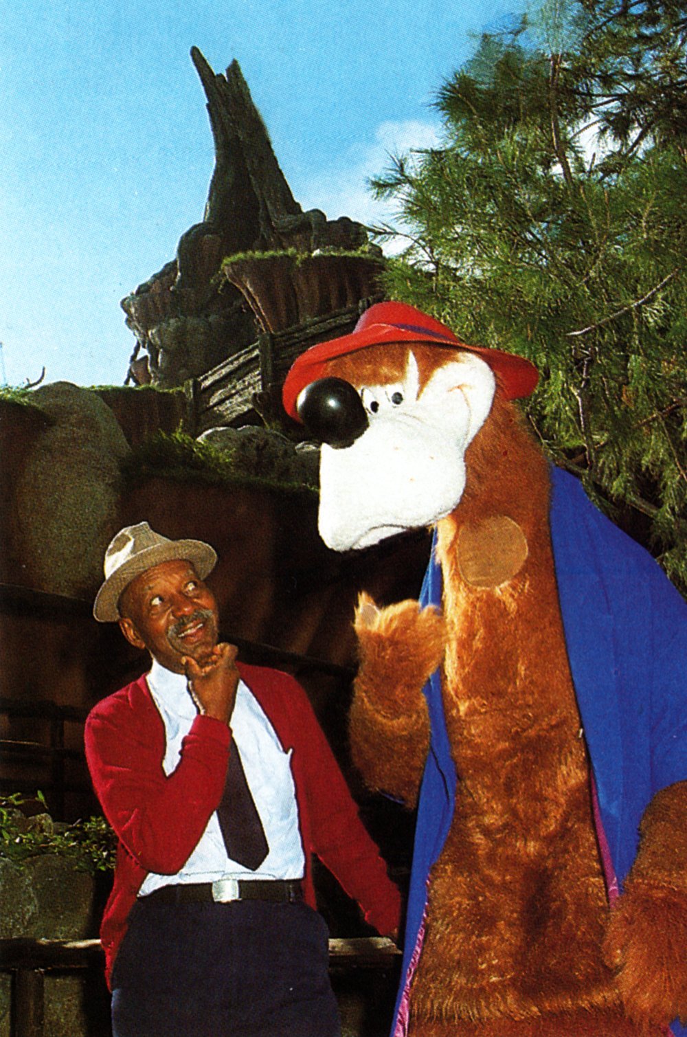 Nick Stewart Brer Bear at Splash Mountain